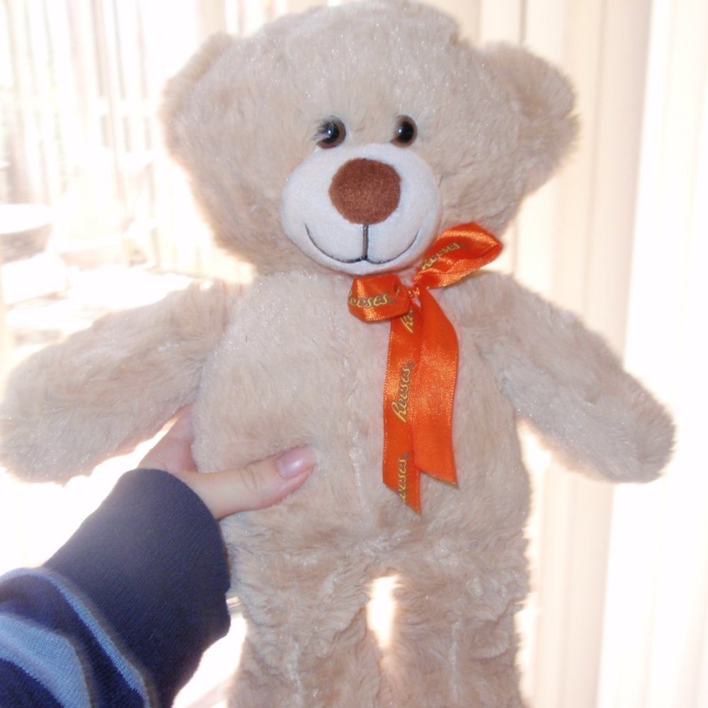 Bear